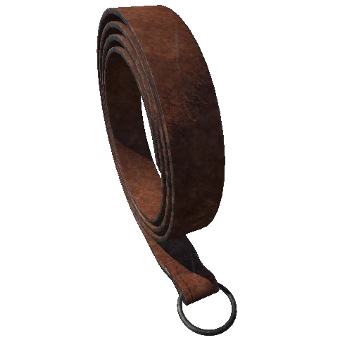 Iron_Ring_Belt_3 (1)